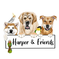 Harper & Friends