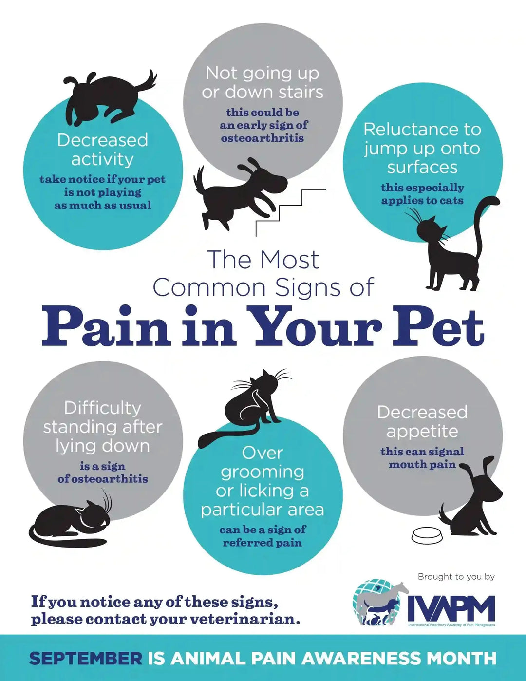 Pain Awareness-Recognizing Pain In Our Companions