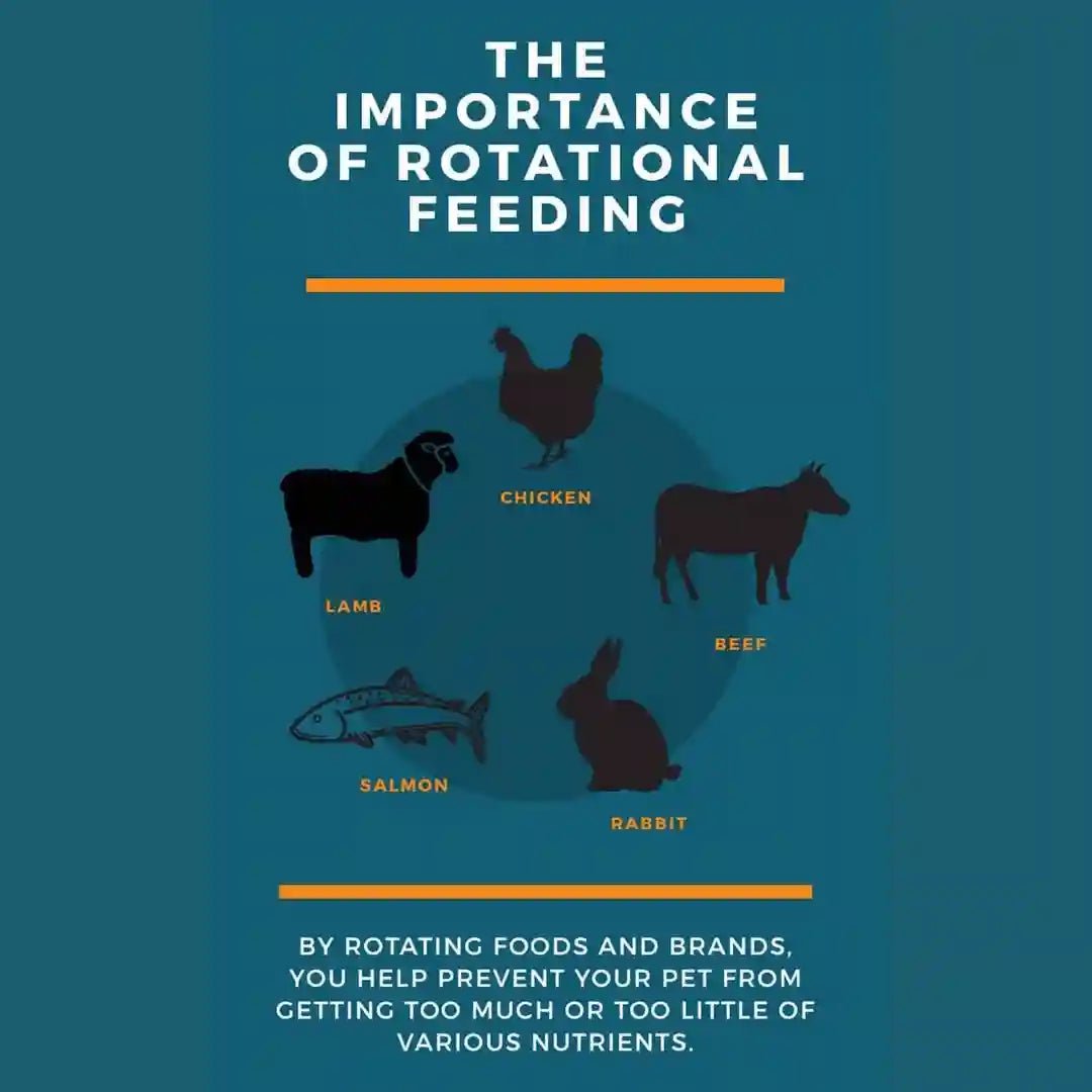 Importance Of Rotating Your Pets Food – Harper & Friends