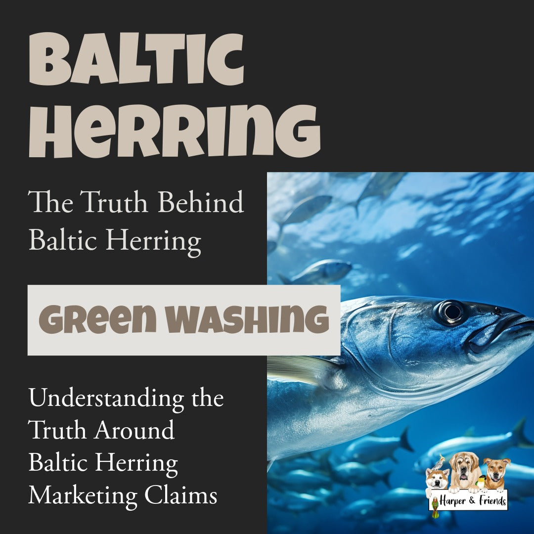 The Truth About Baltic Herring