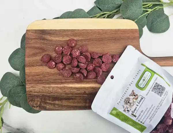 Beef Heart PhytoCardio Treats - Harper & Friends