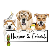 Harper & Friends