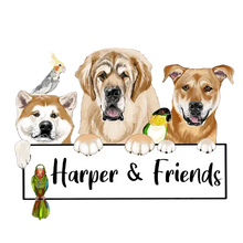 Harper & Friends