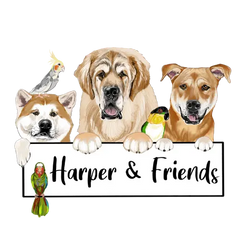 Harper & Friends