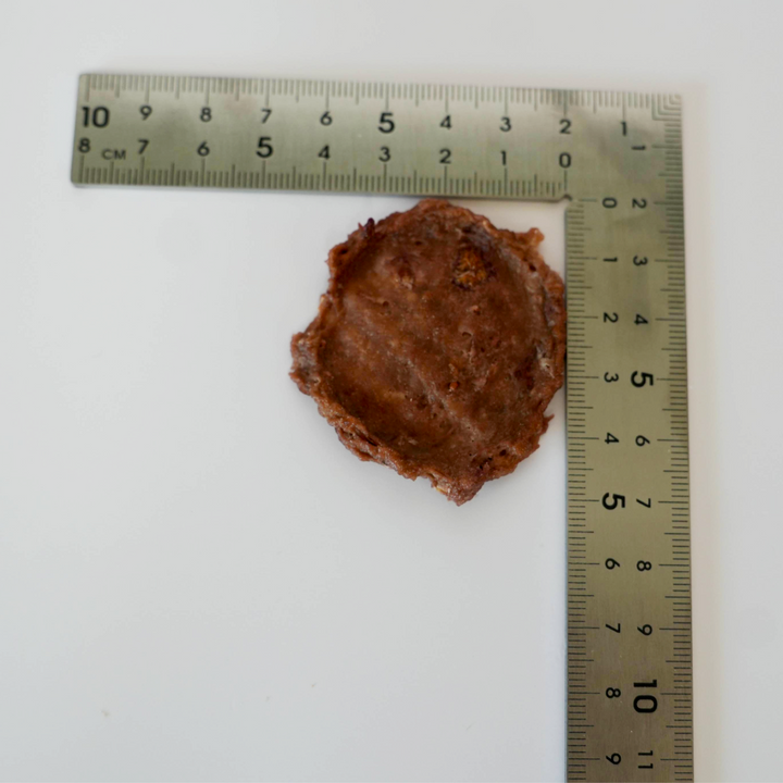 A small brown, irregularly shaped piece of Turkey &amp; Cranberry shown on a white background with an L-shaped metal ruler in centimeters for scale.