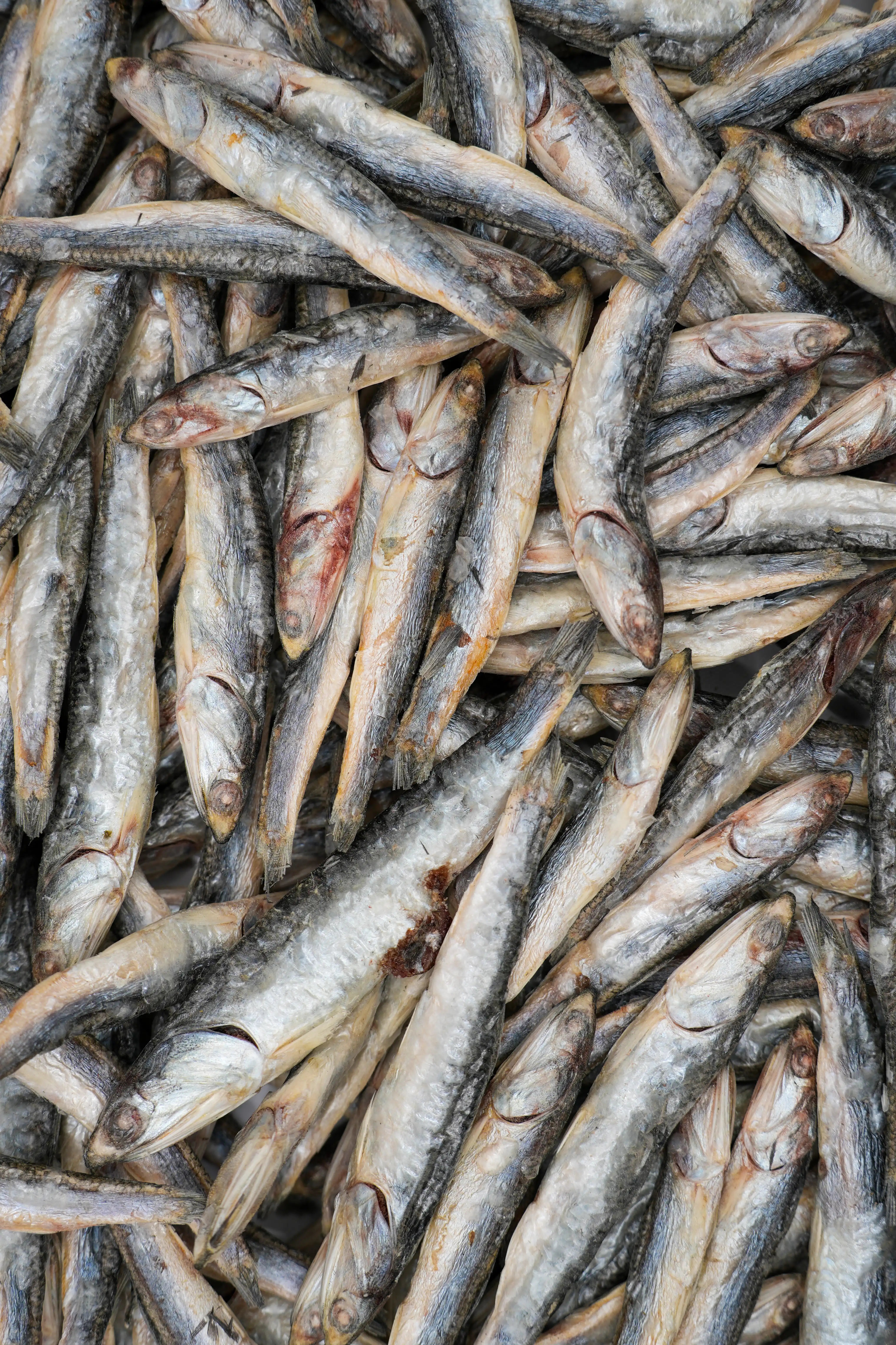 Freeze Dried Pacific Anchovies for dogs