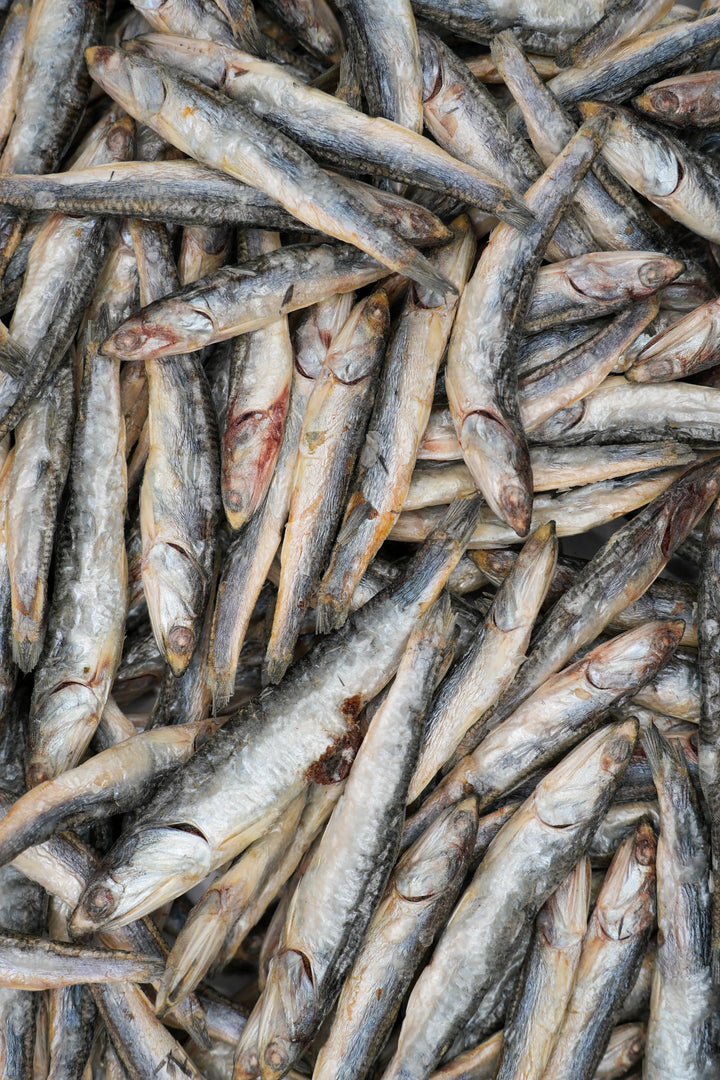 Freeze Dried Pacific Anchovies for dogs
