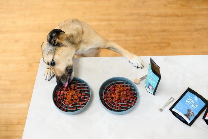 Everyday Joint Support Supplement (Tier 1)