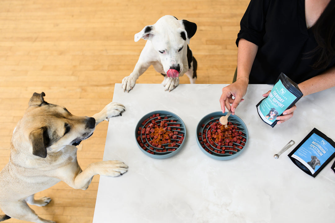 Everyday Joint Support Supplement (Tier 1)