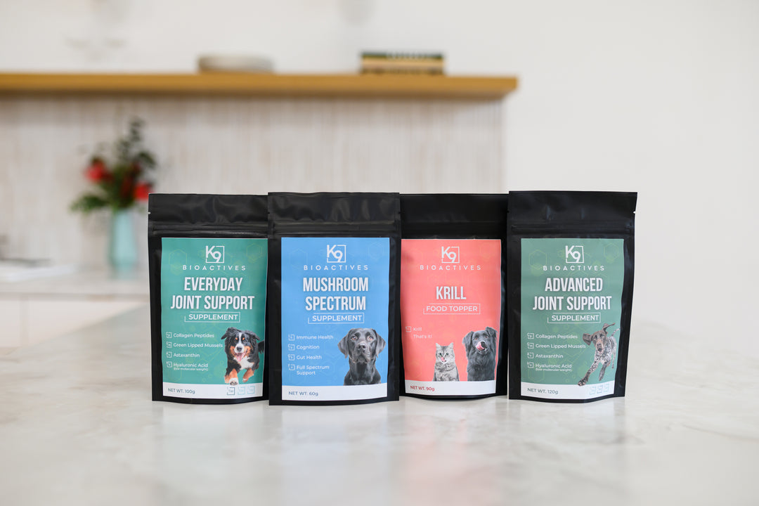 Everyday Joint Support Supplement (Tier 1)