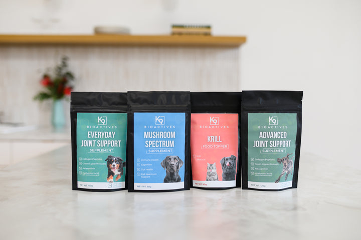 Everyday Joint Support Supplement (Tier 1)