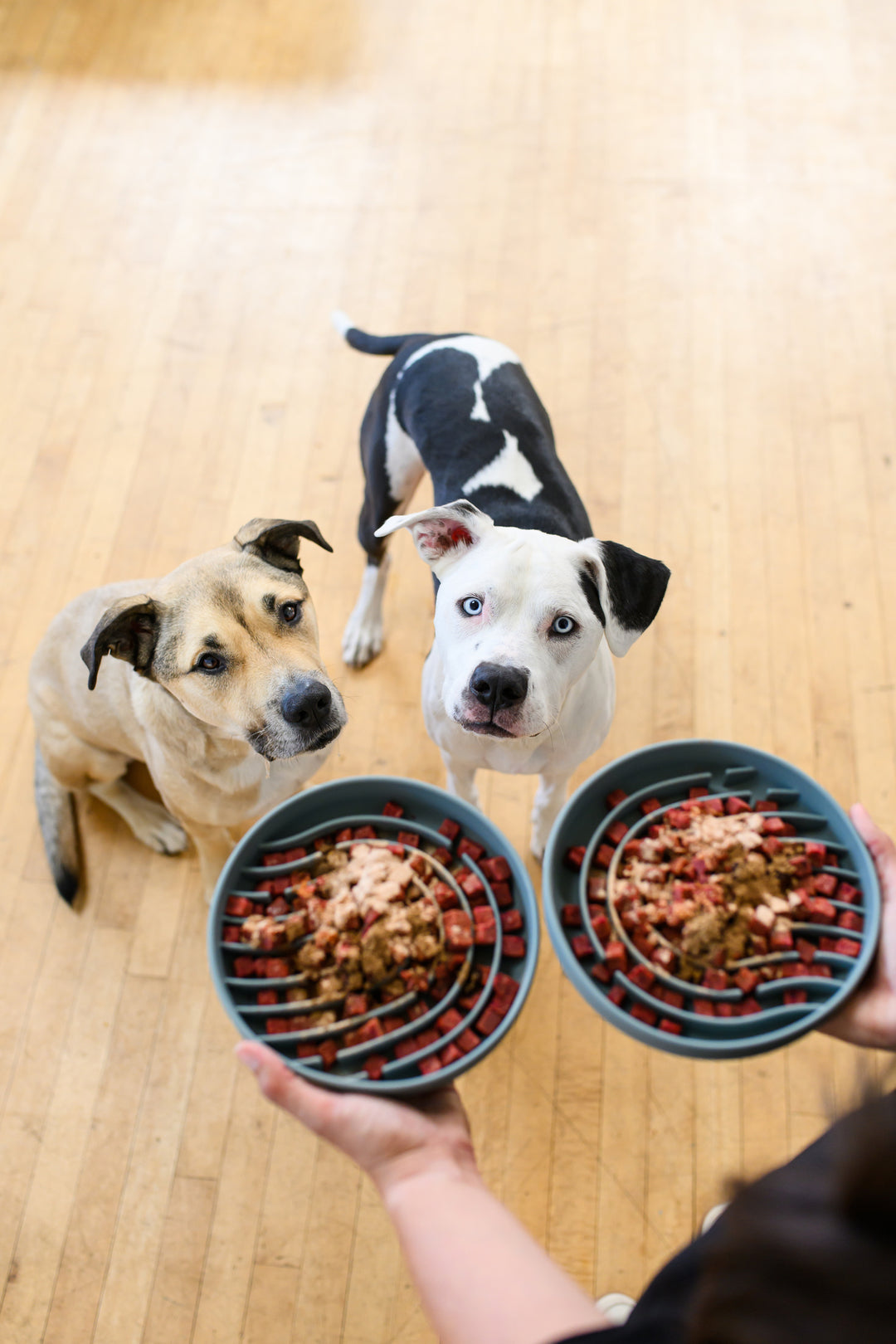 Advanced Joint Support (Tier 2)