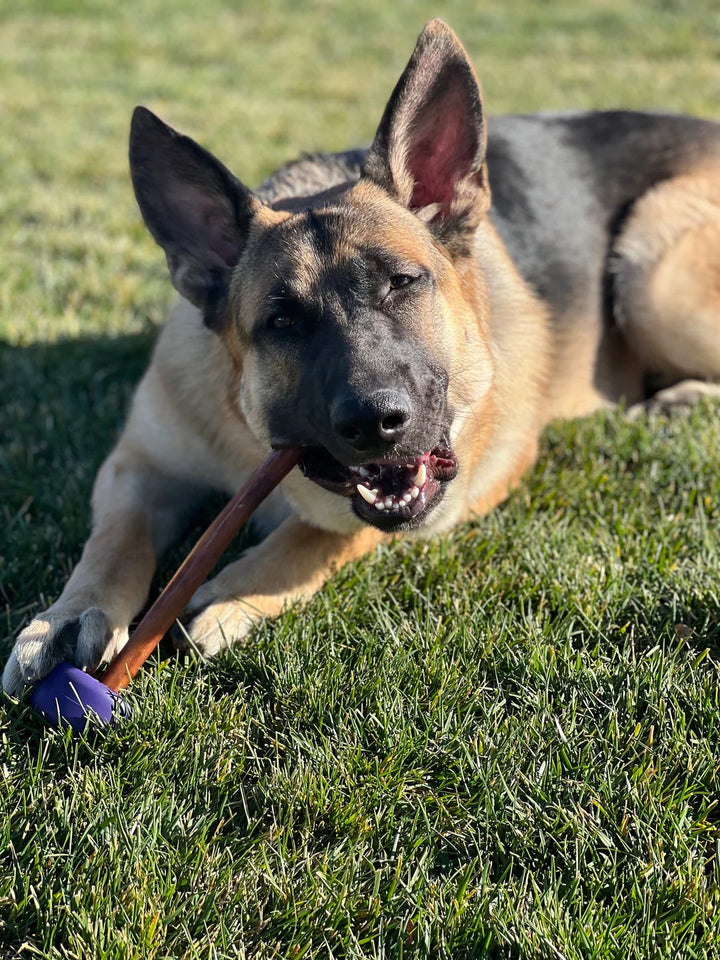 Bully Grip Bullystick Holder - Harper & Friends