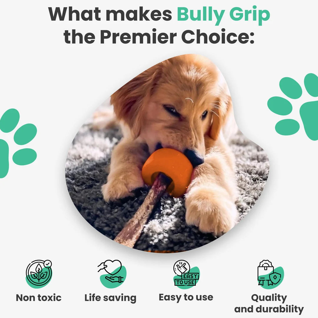 Bully Grip Bullystick Holder - Harper & Friends
