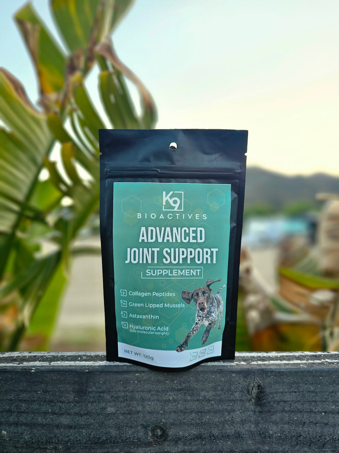 Advanced Joint Support (Tier 2)
