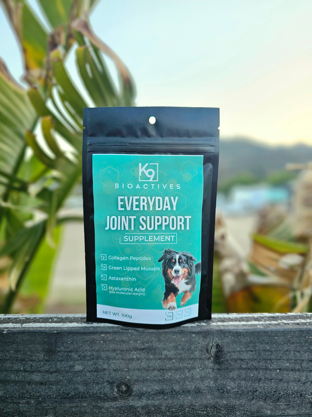 Everyday Joint Support Supplement (Tier 1)
